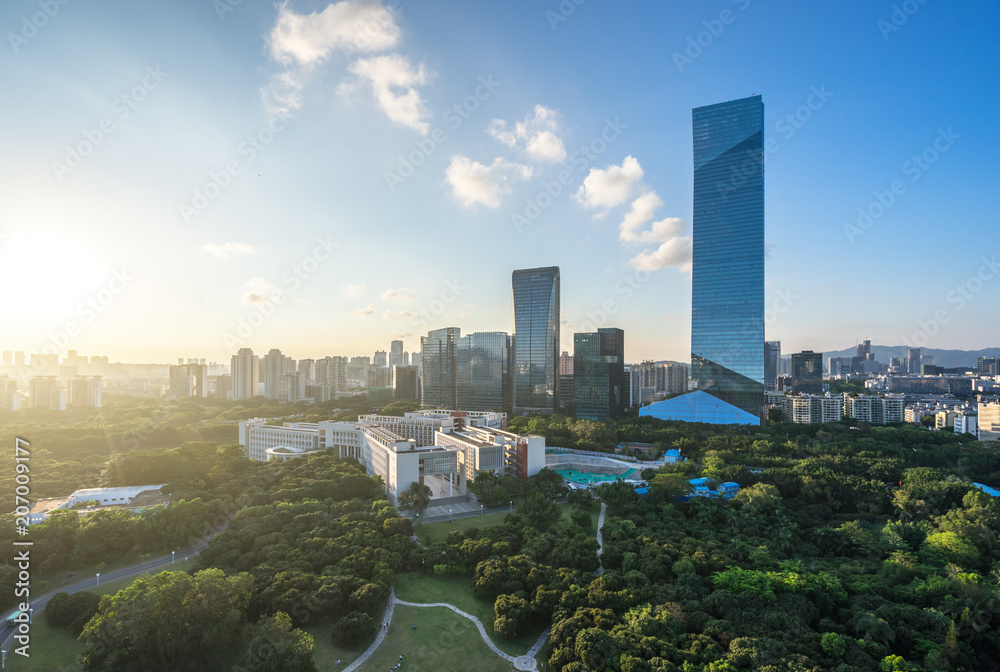 城市天际线全景