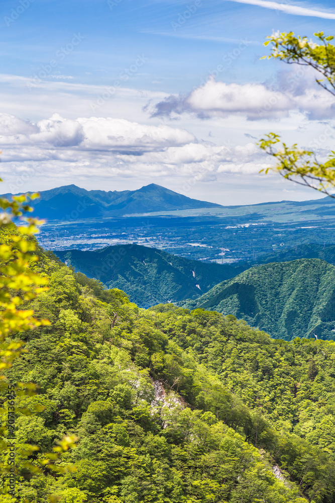 新緑の山