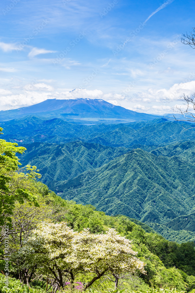 新緑の山