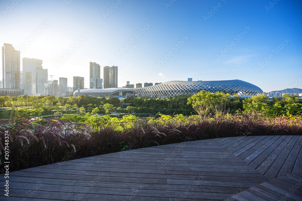 中国深圳的城市天际线