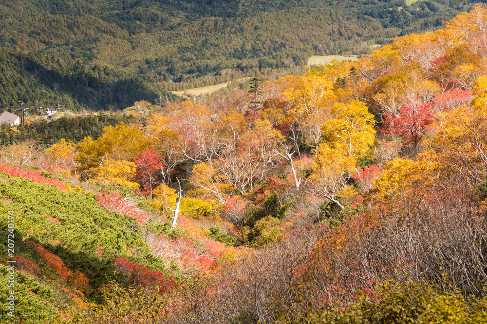 Mt.Ontake在秋季