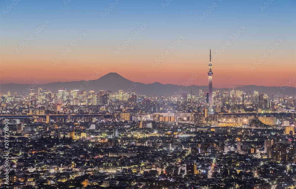 东京夜景，东京天树地标，东京市中心建筑区和胜利的富士山