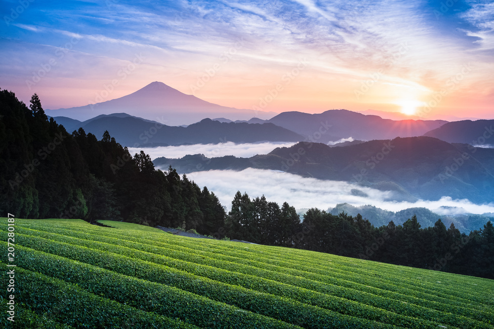 富士山和清晨薄雾笼罩的茶会