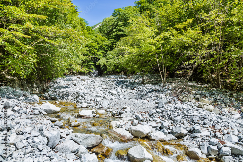 新緑と小川