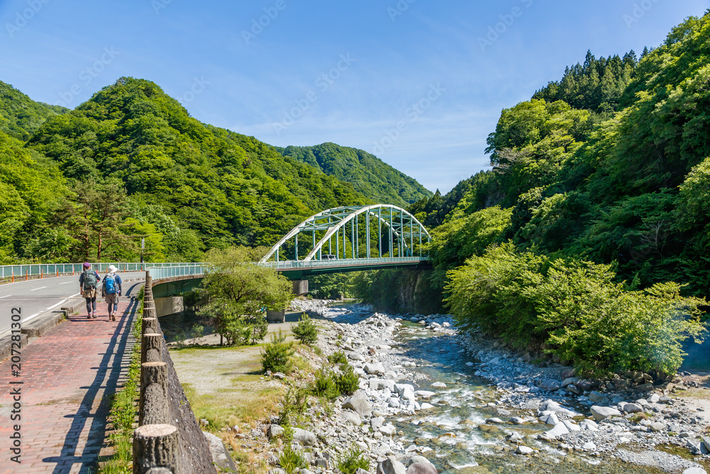 山の中の橋