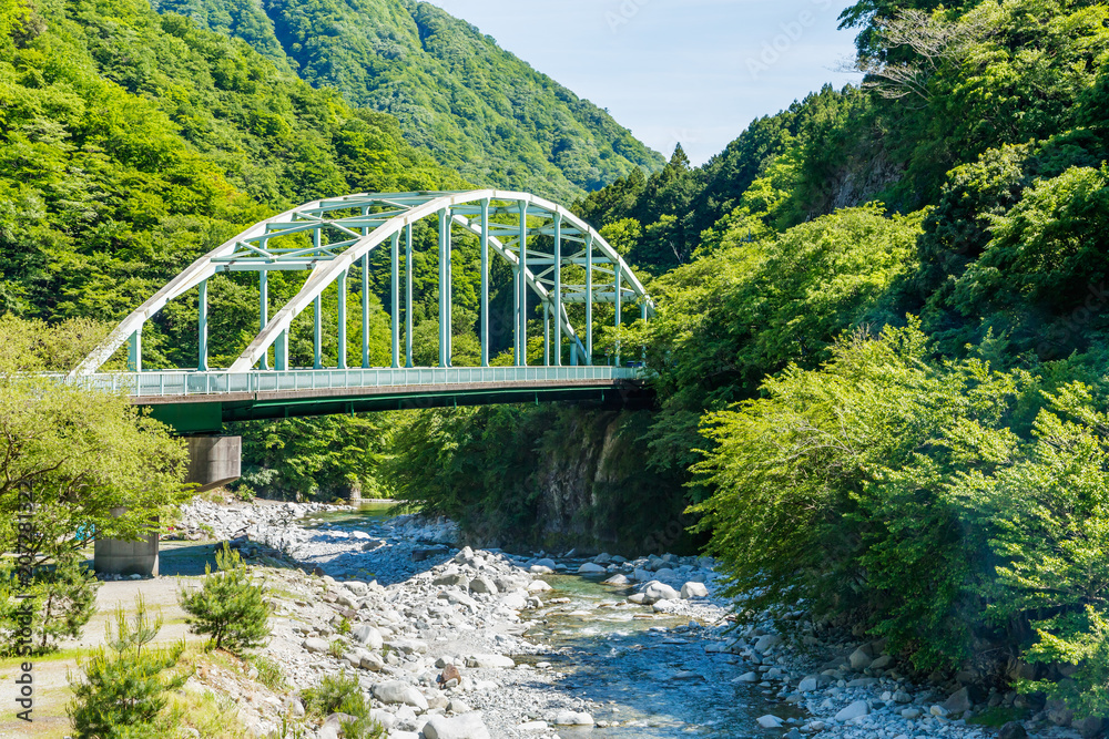 山の中の橋