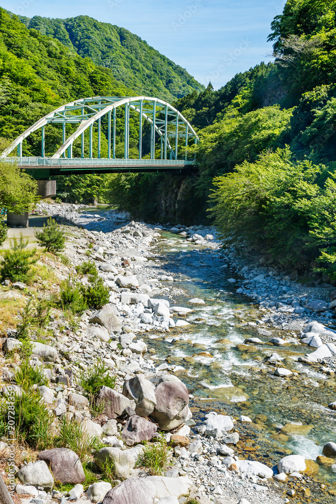 山の中の橋