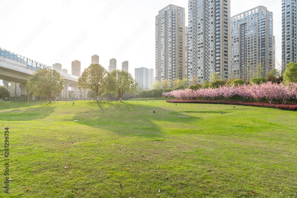 城市天际线公园里的绿色草坪