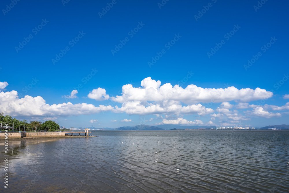 深圳的海洋天际线