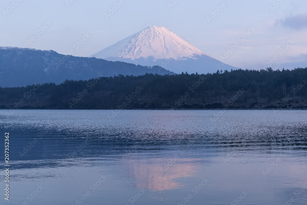 春季富士山和Saiko湖