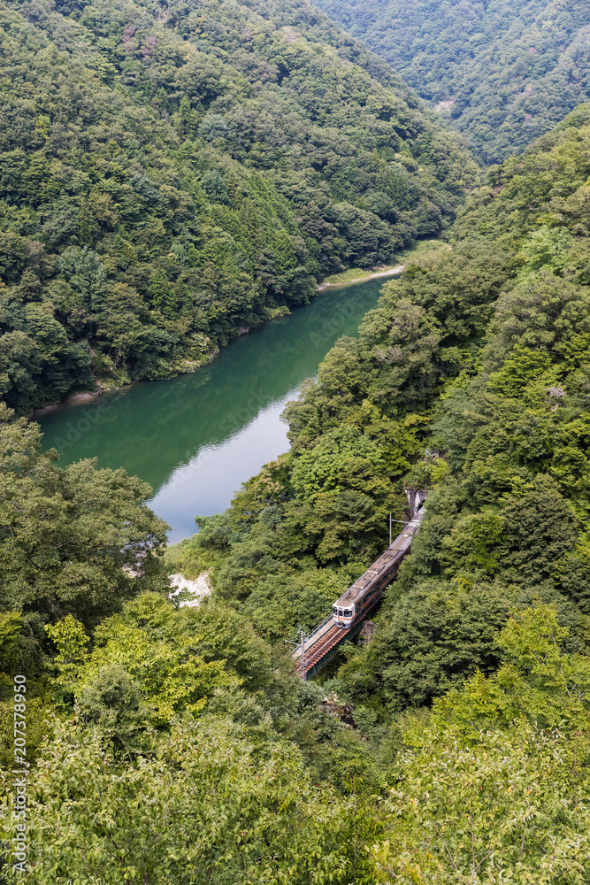 Lida line and green mountain in summer season