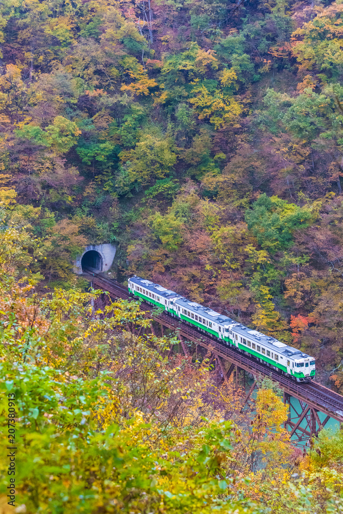 秋天的福岛三岛町田见线