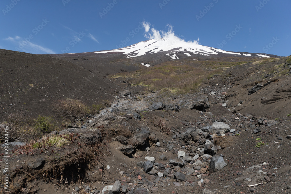 富士山顶雪与富士山春季自然休闲林径