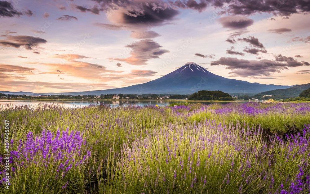 夏季和谷湖富士山和薰衣草田的景色