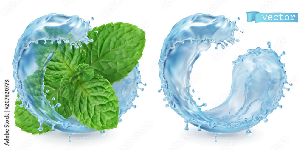 Splash water and mint. 3d realistic vector