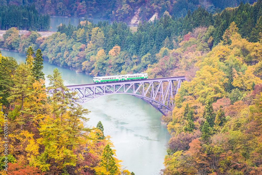 秋天的福岛三岛町田见线