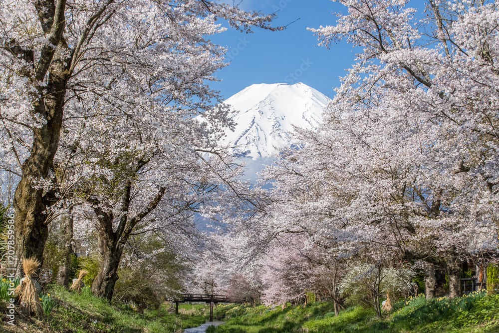 富士山和谷美湖在冬季有美丽的日出。谷美湖是Mo附近的一个湖