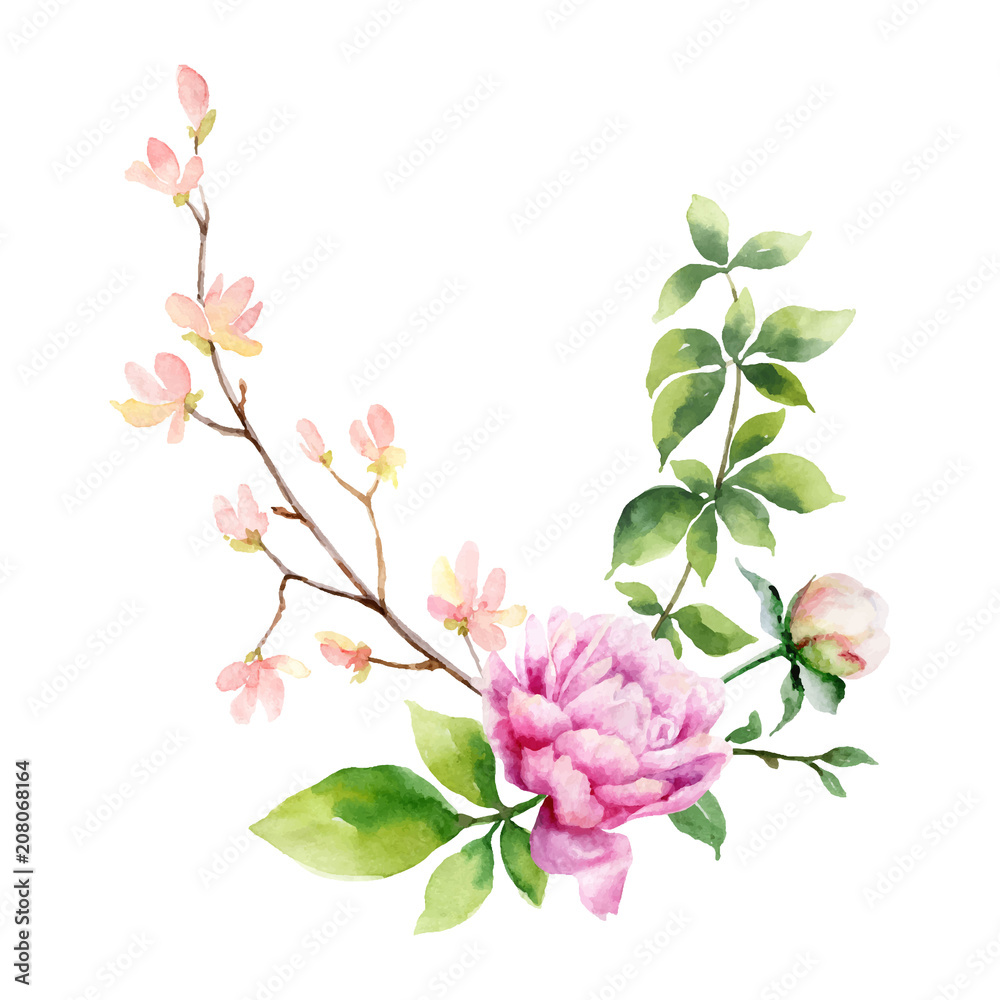 Watercolor vector hand painting illustration of peony flowers and green leaves.