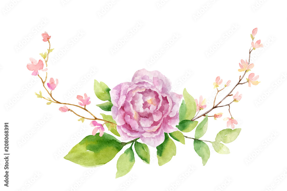 Watercolor vector hand painting illustration of peony flowers and green leaves.