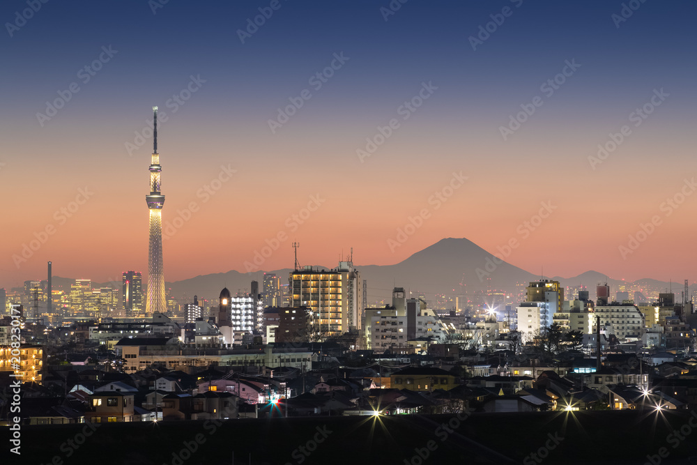 东京夜景，东京天树地标，东京市中心建筑区和胜利的富士山