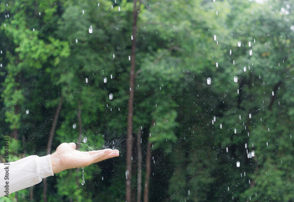 大雨中的手，关于雨季的概念