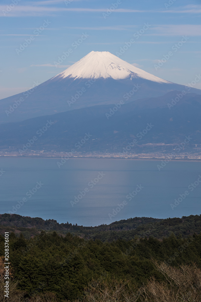 静冈县冬季的富士山和骏河湾。从伊豆县的大流山看