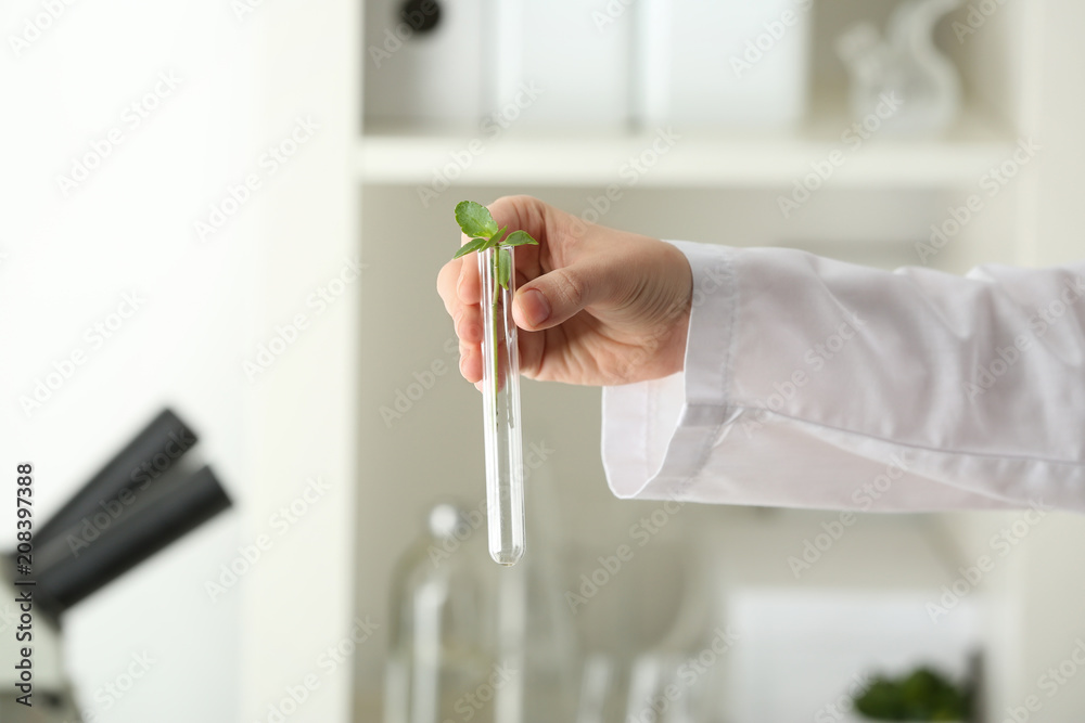 Lab worker holding test tube with plant on blurred background, closeup