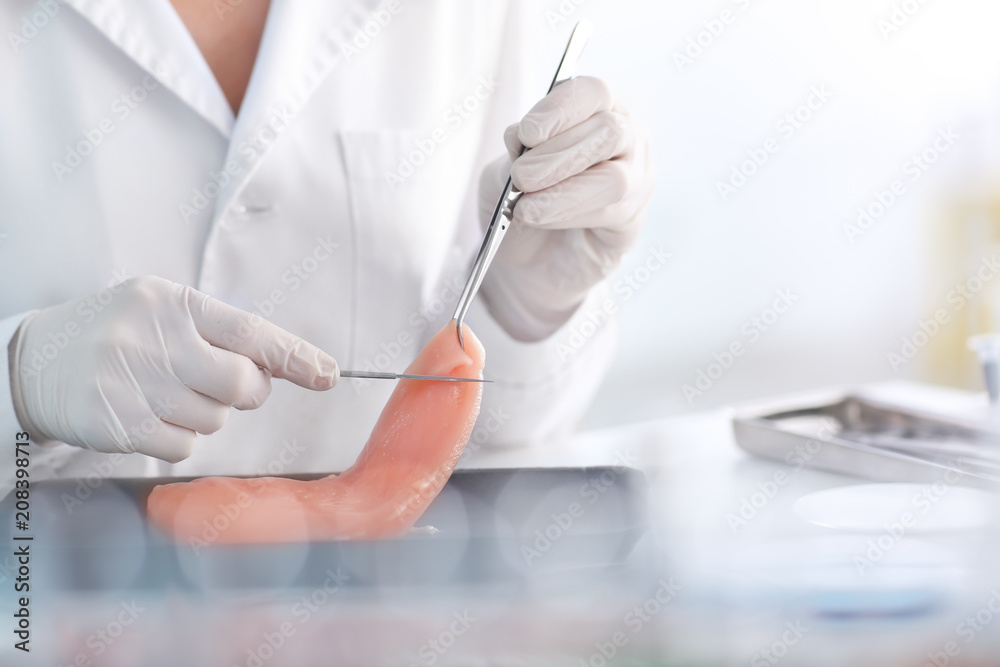 Scientist examining meat sample in laboratory