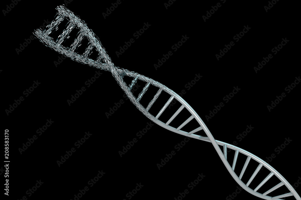 3d modeling, DNA modeling