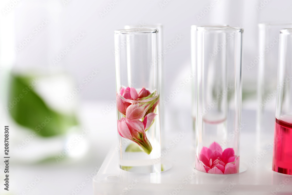 Test tubes with flowers in rack, closeup