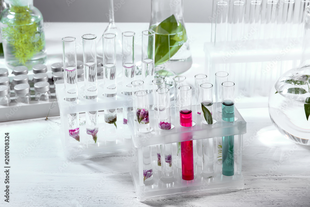 Test tubes with flowers and leaves in racks on table