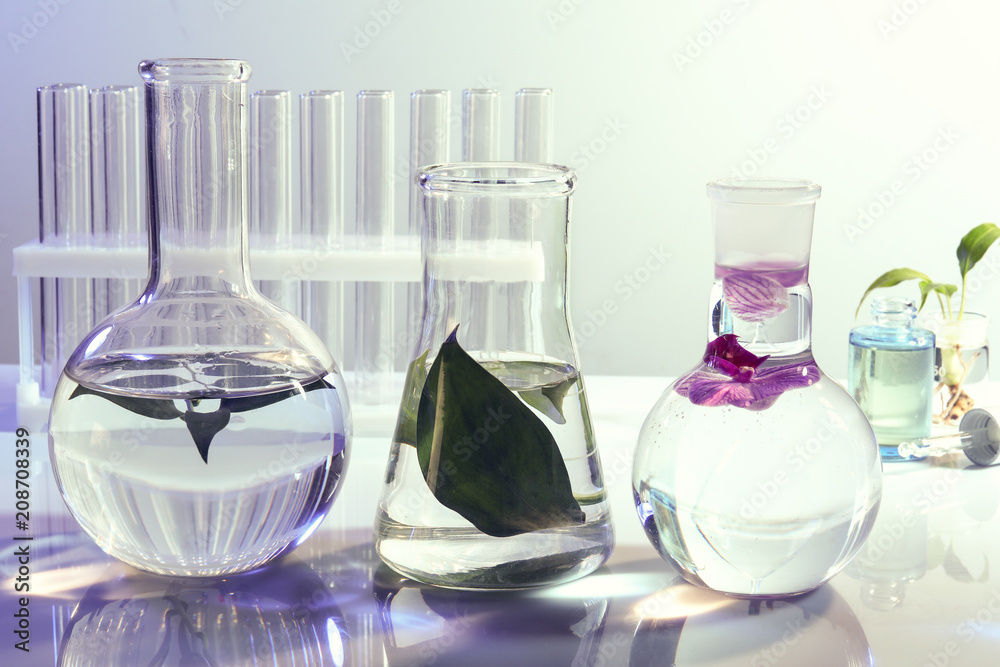 Different laboratory glassware with plants on table