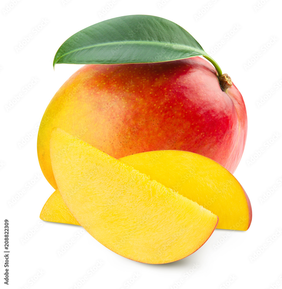 Mango leaf isolated