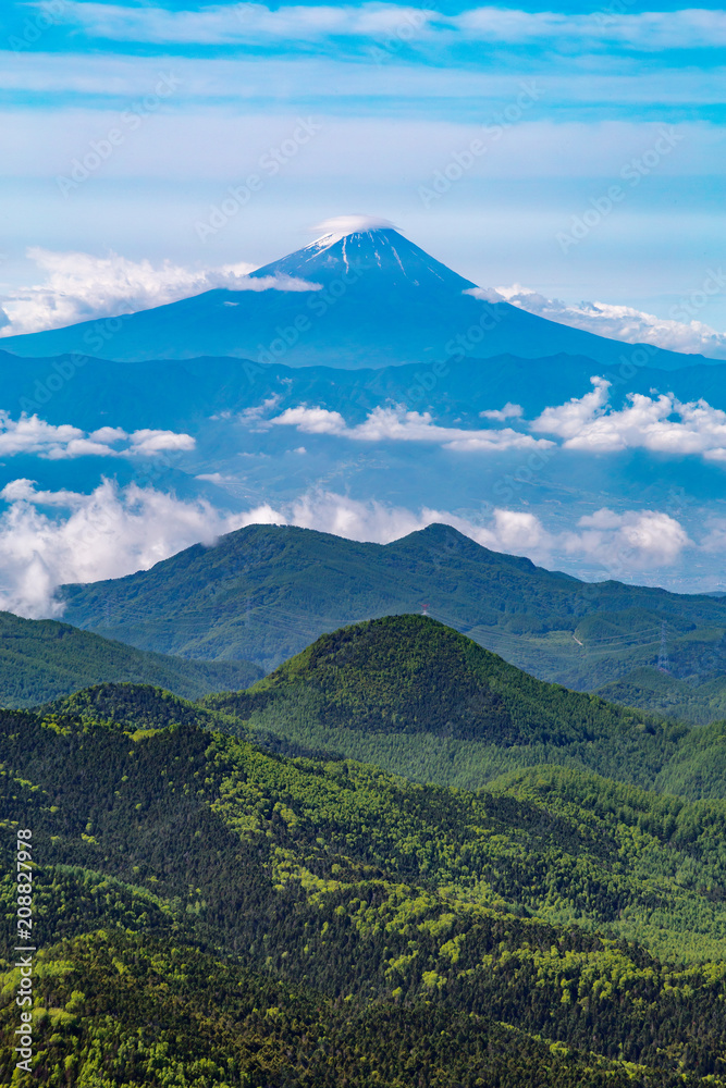 新緑と富士山