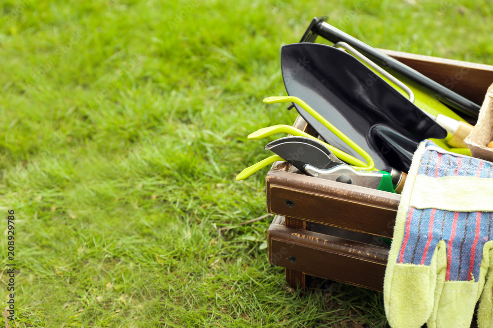 Wooden crate with gardening tools on green grass