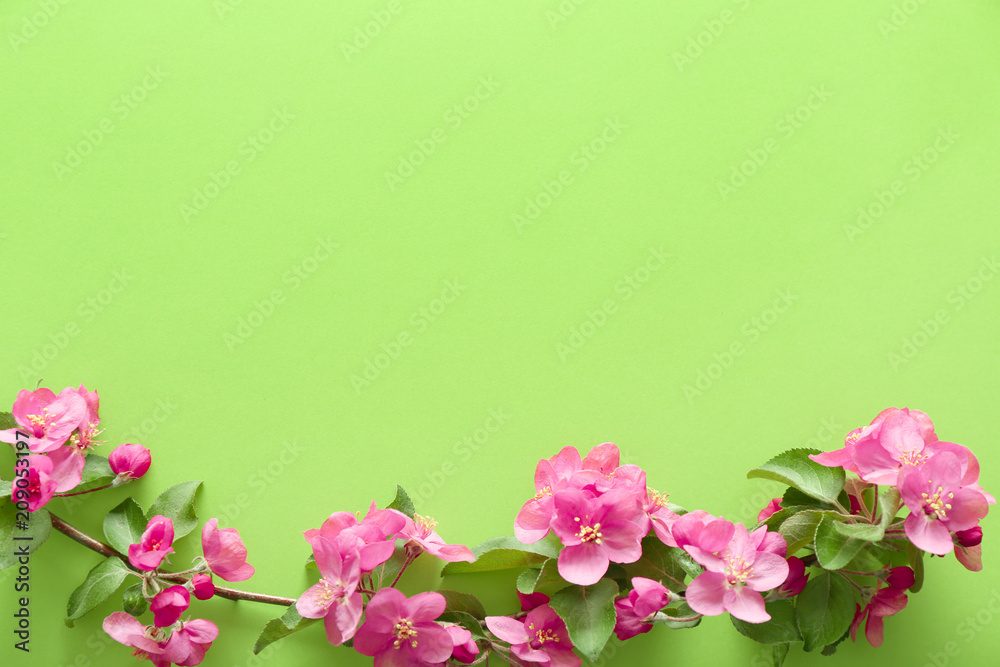 Beautiful blossoming branch on color background