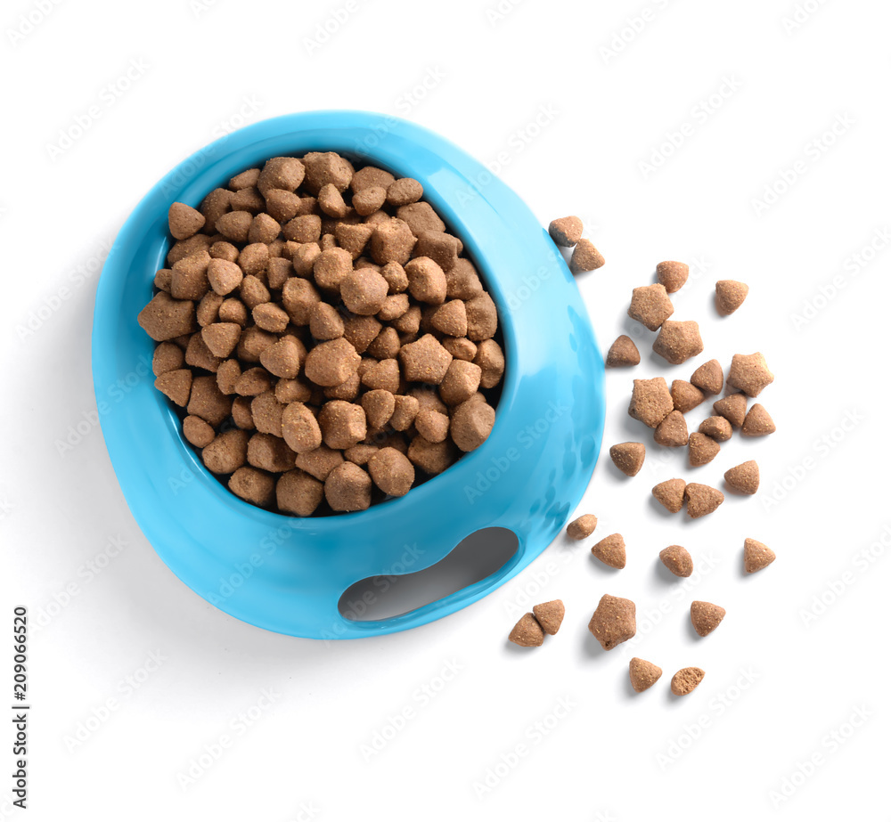 Pet food in bowl on white background