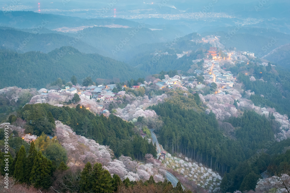 吉野山樱花。奈良县吉野山，日本最著名的樱花