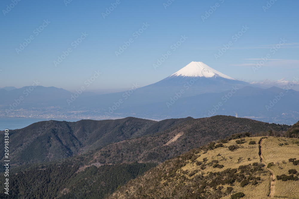 静冈县冬季的富士山和骏河湾。从伊豆县的大流山看