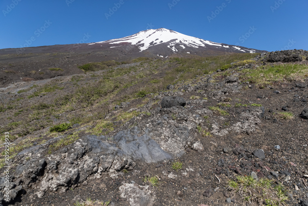 富士山之巅，雪与春天的富士山自然休闲森林步道