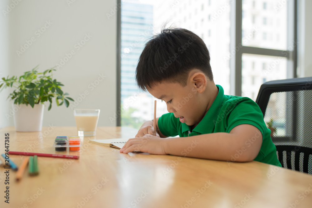 可爱的微笑男孩在做作业、涂色、写作和绘画。孩子们画画。孩子们绘画。P