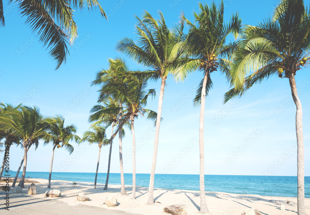 Beautiful landscape of coconut palm tree on tropical beach (seascape) in summer. Summer background c