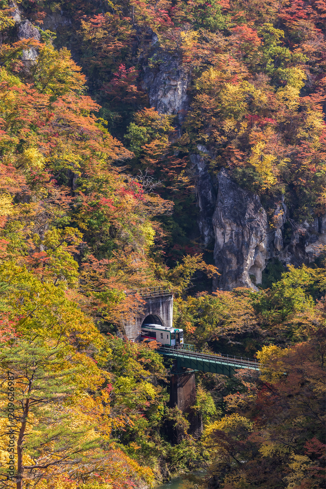 秋季Naruko峡谷的Rikuu线