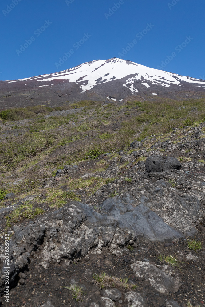 富士山之巅，雪与春天的富士山自然休闲林径