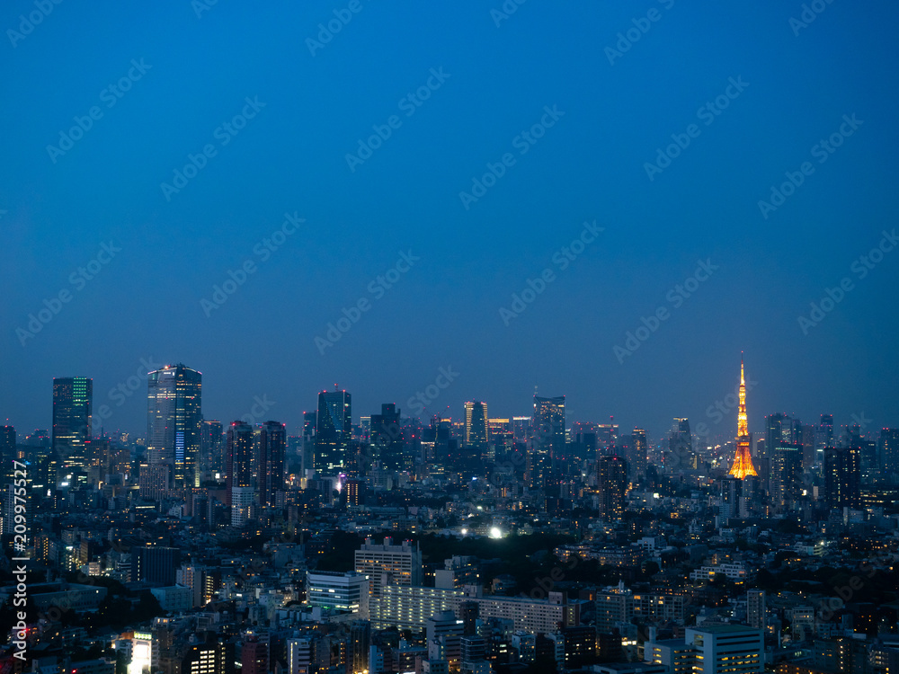 東京の夜景