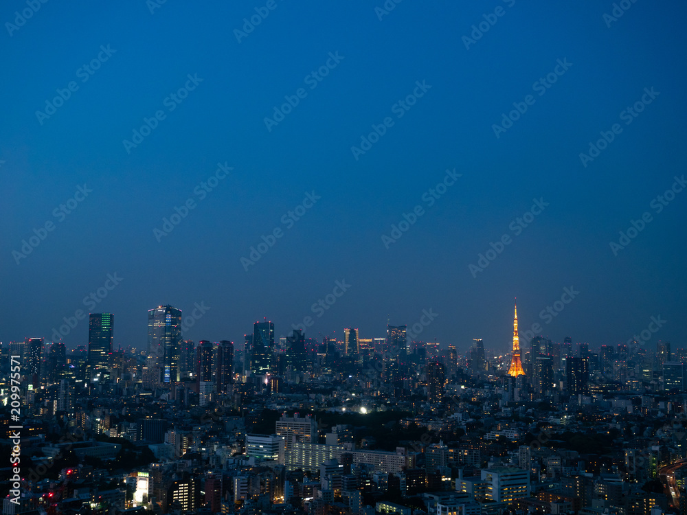 東京の夜景