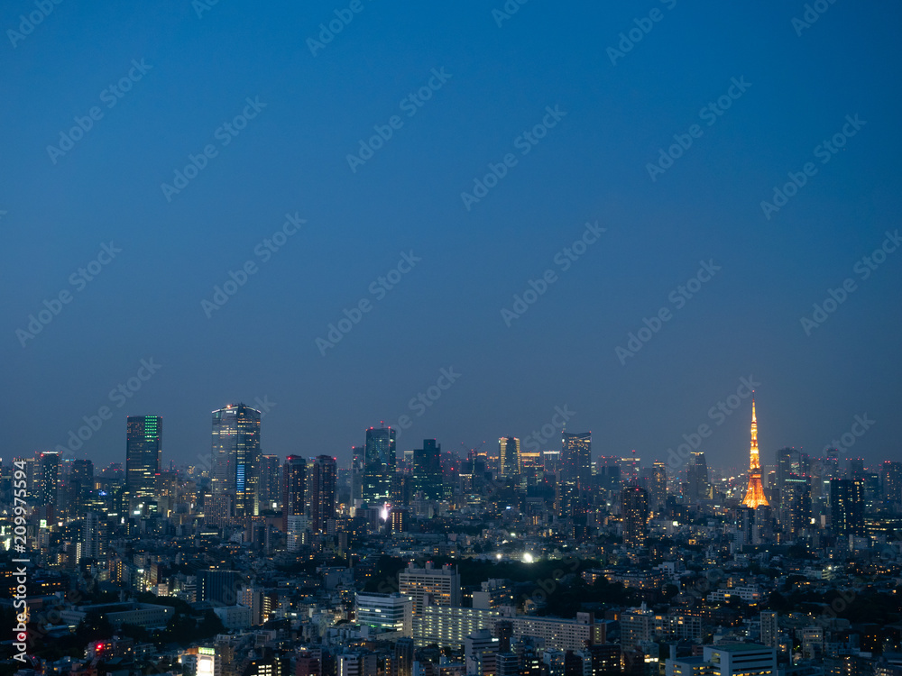 東京の夜景