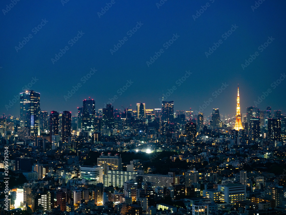 東京の夜景