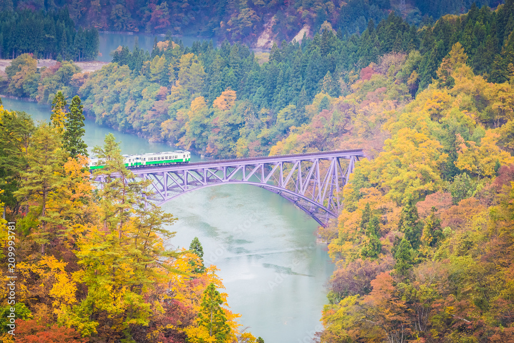 秋天的福岛三岛町田见线