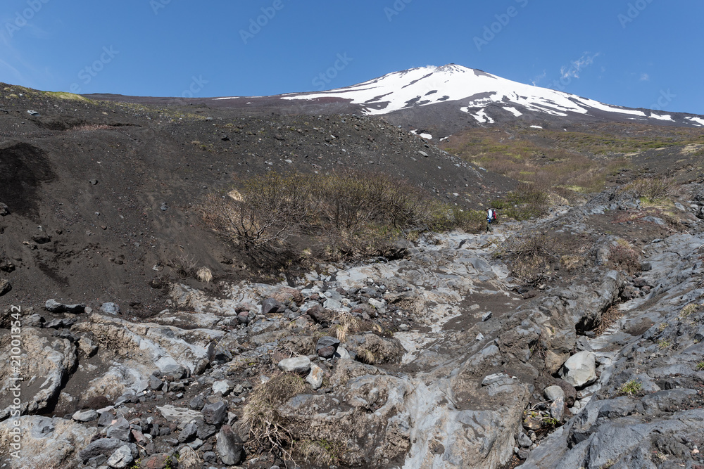 富士山之巅，雪与春天的富士山自然休闲森林步道